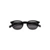 Alden Sunglasses, black