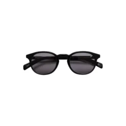 Alden Sunglasses, black