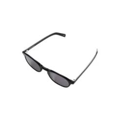 Alden Sunglasses, black