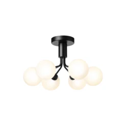Apiales 6 Ceiling Lamp, satin black/opal