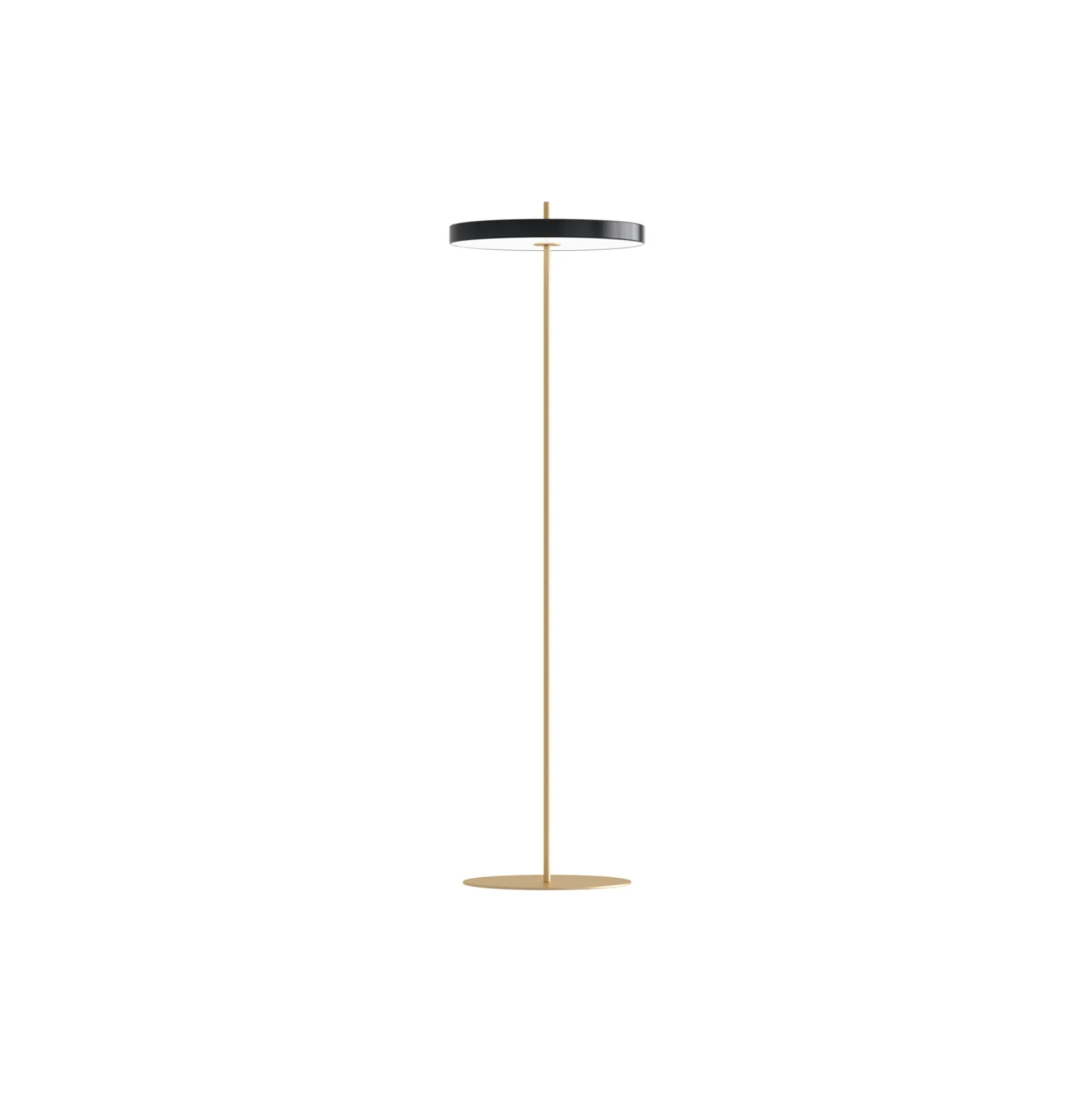 Asteria Floor Lamp, black