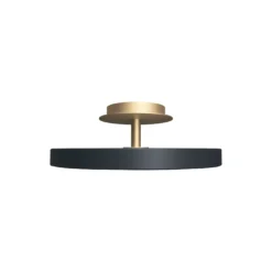 Asteria Up Plus Ceiling Lamp, anthracite