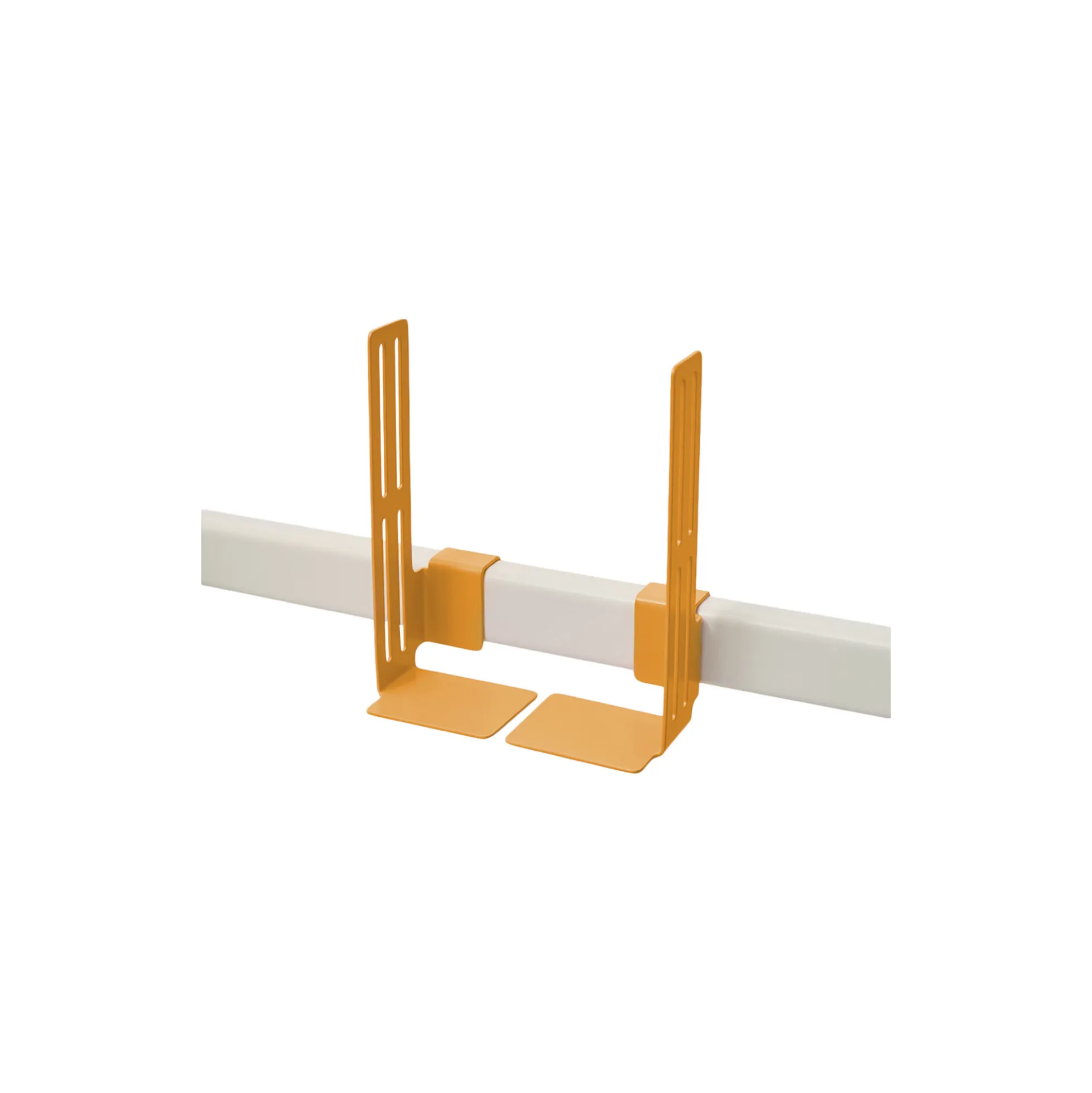 Box Mount, apricot