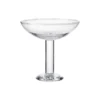 Bubble Glass Champagne Coupe
