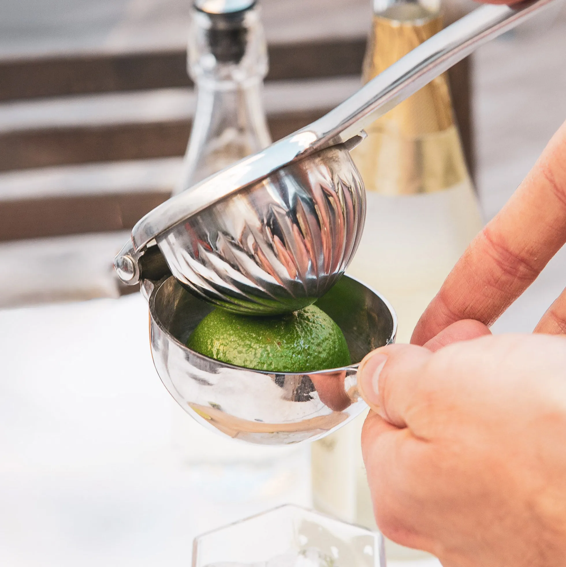 Citrus juicer