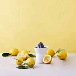 Citruspresser, white/grey