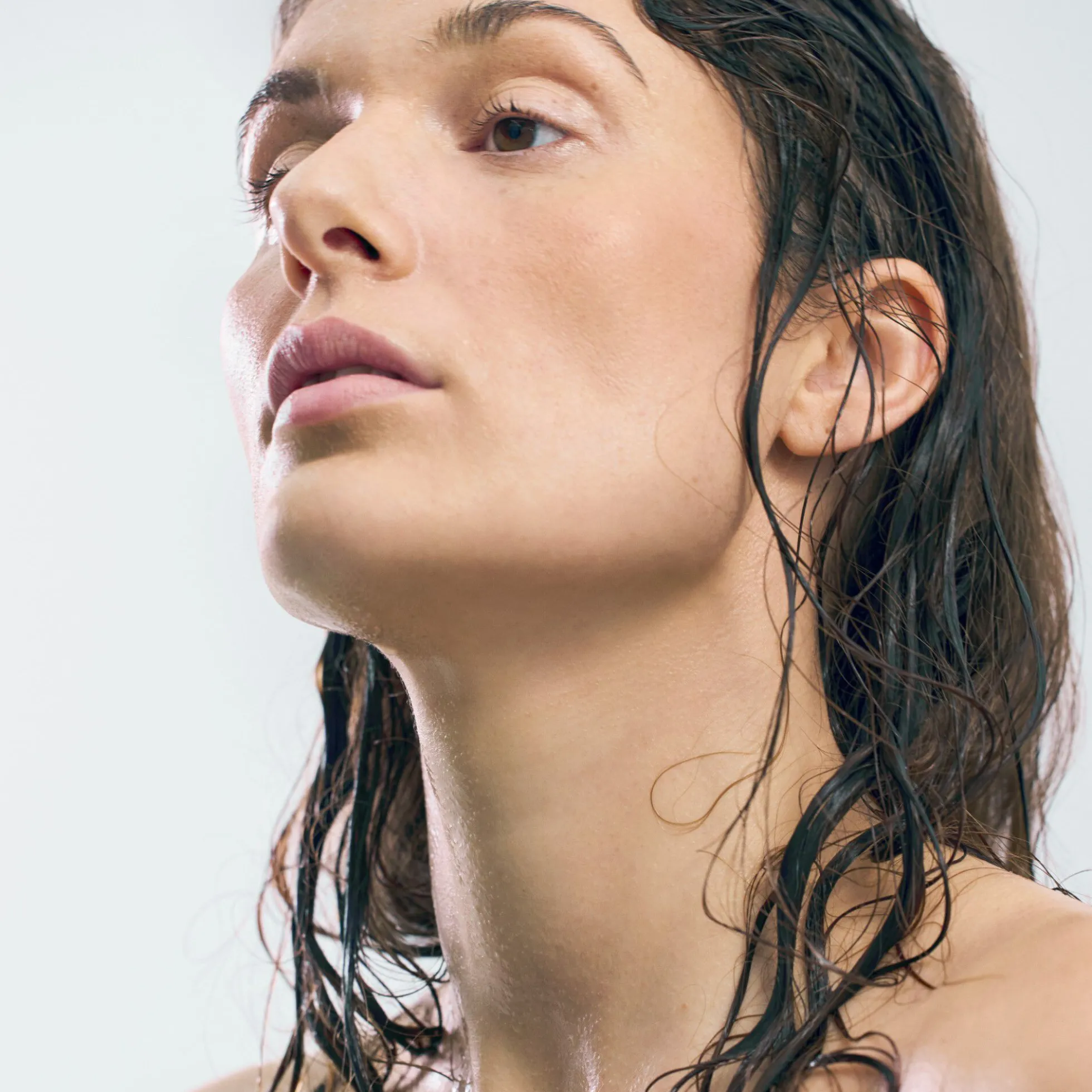 Conditioner