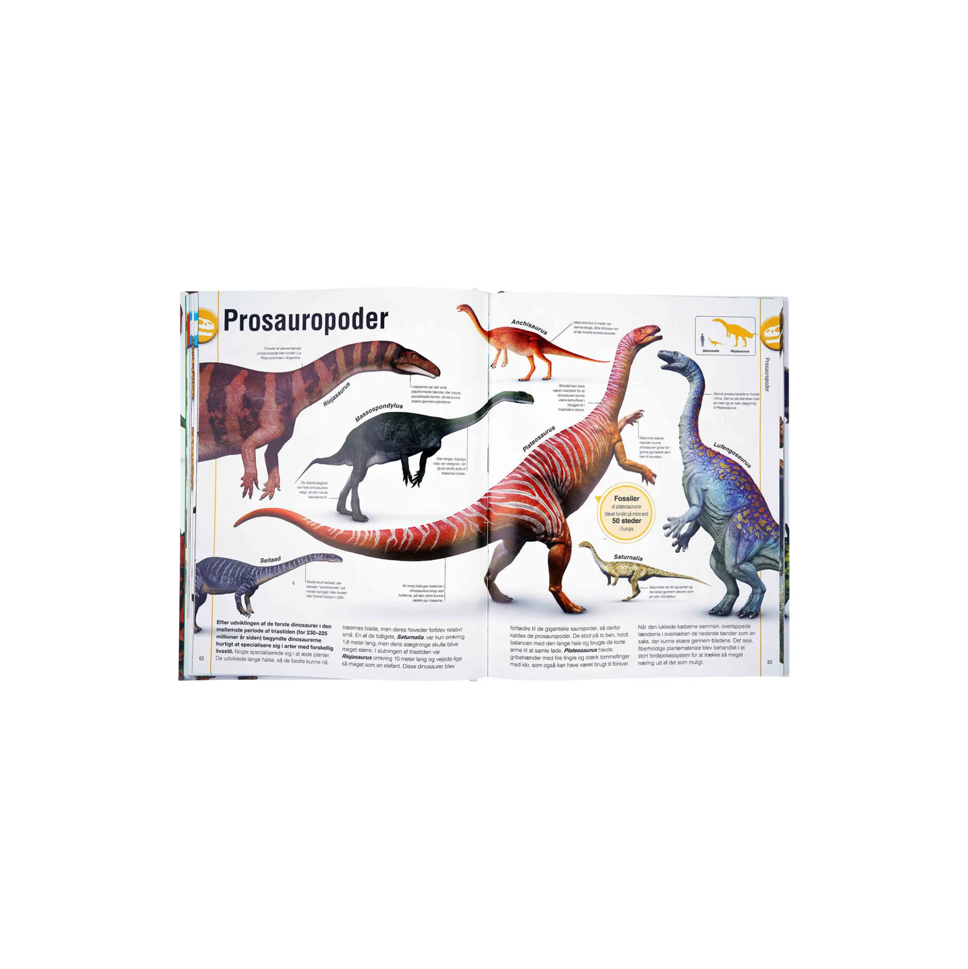 Dinosaurbogen