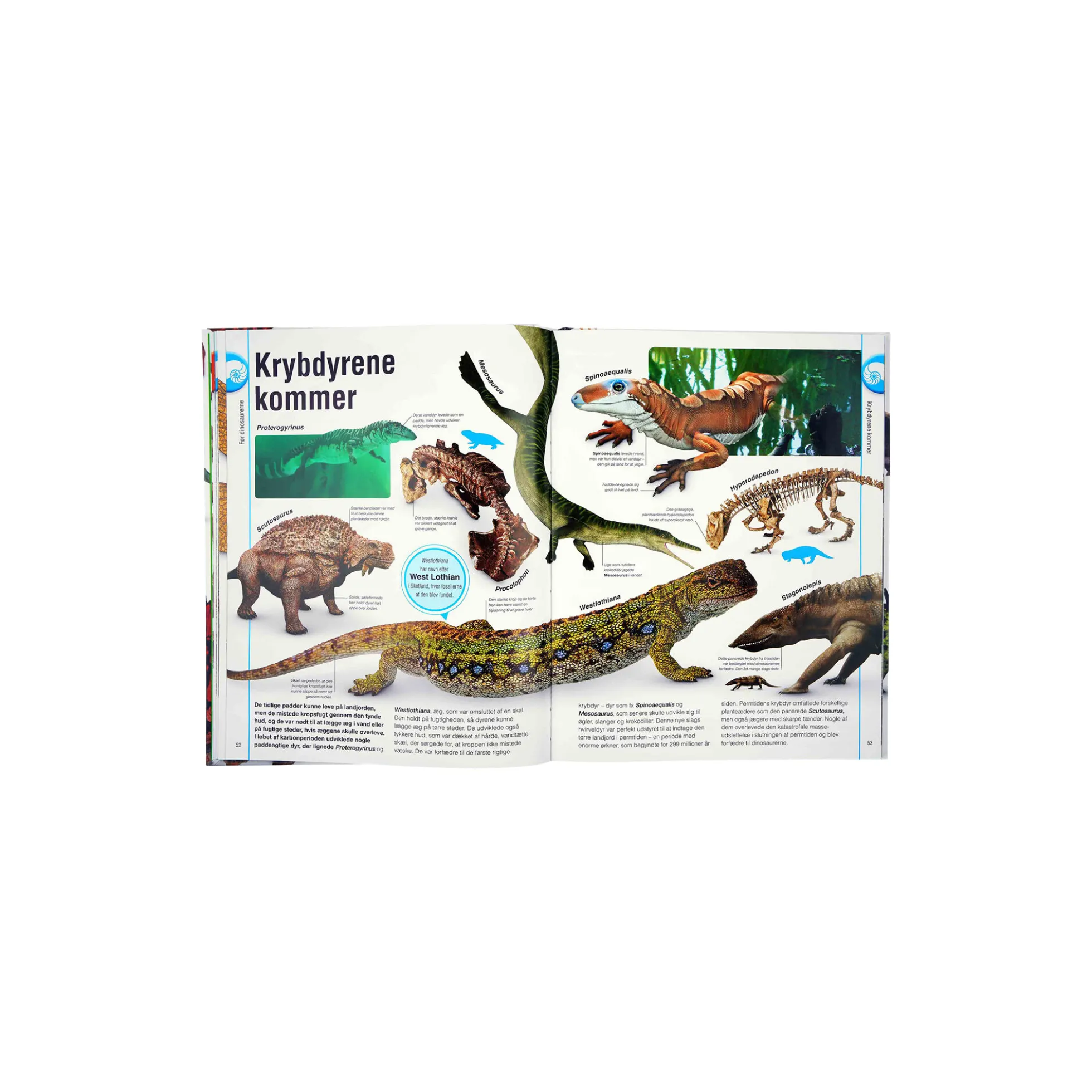 Dinosaurbogen