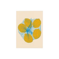 Five Lemons in a Net Bag