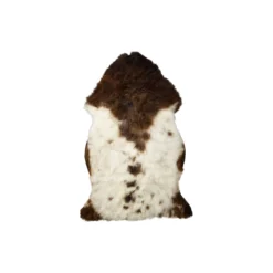 Himalaya lammeskind, dark spotted