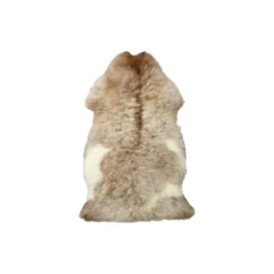 Himalaya lammeskind, light spotted