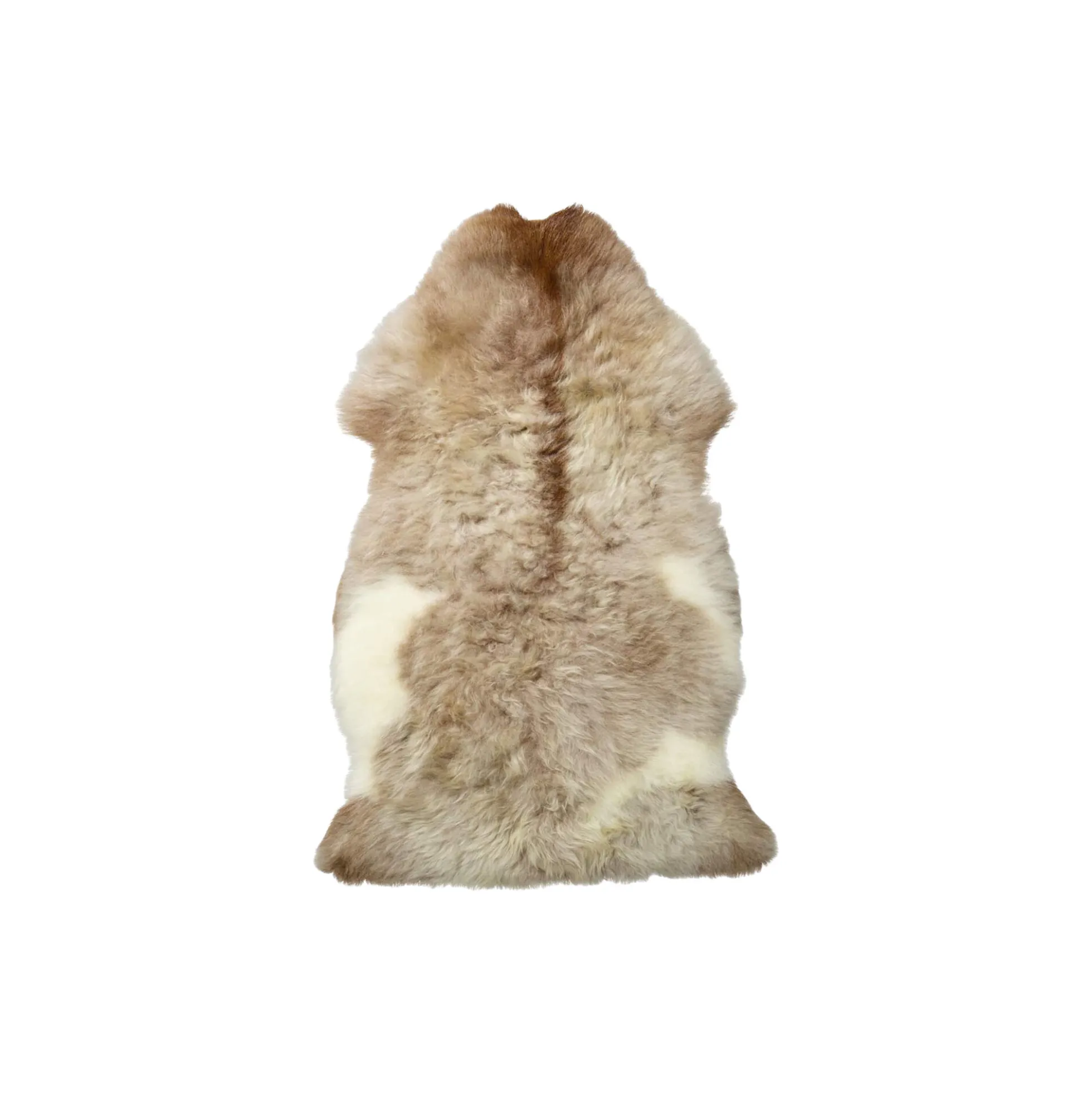 Himalaya lammeskind, light spotted