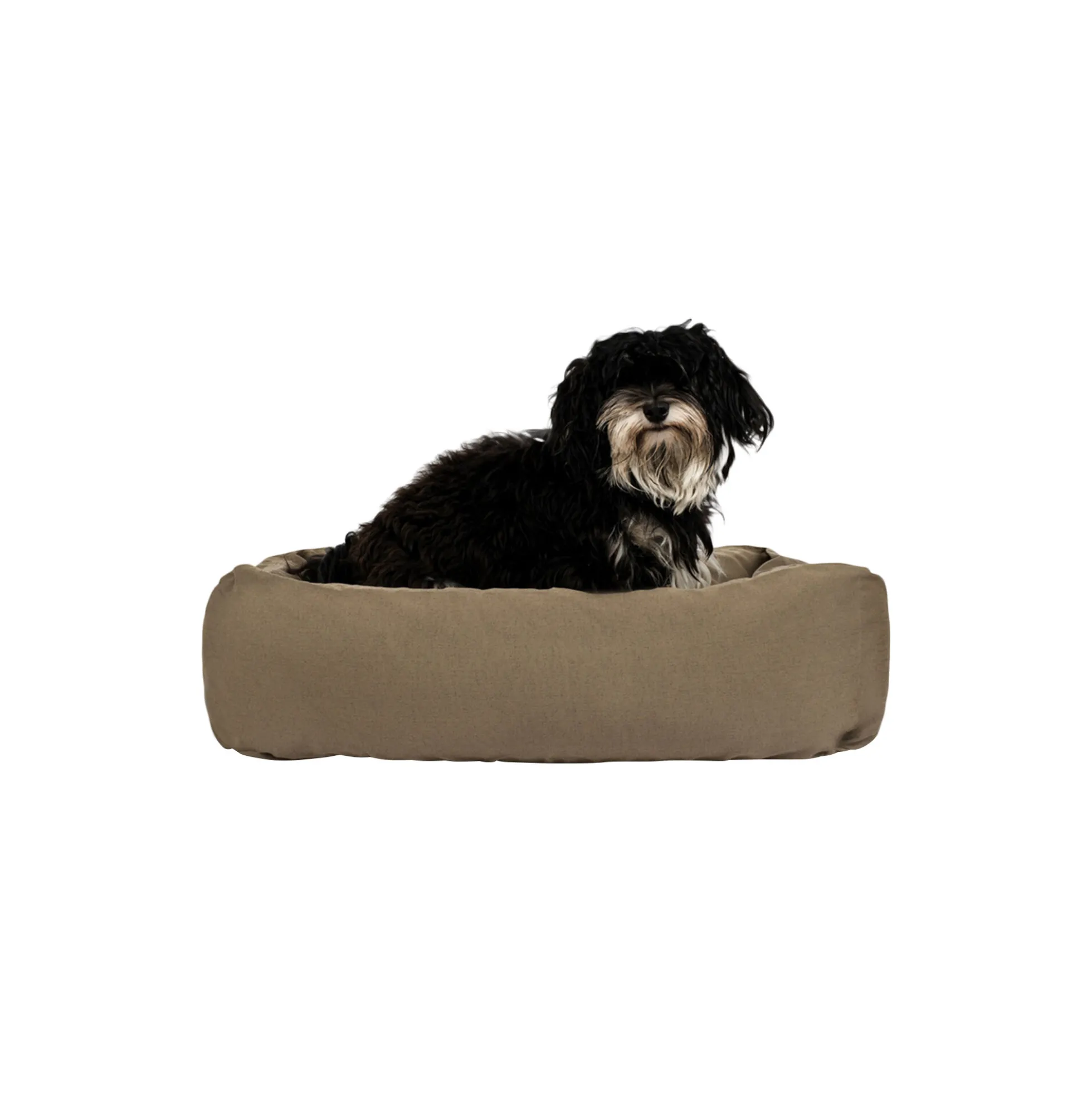 Hundeseng, khaki