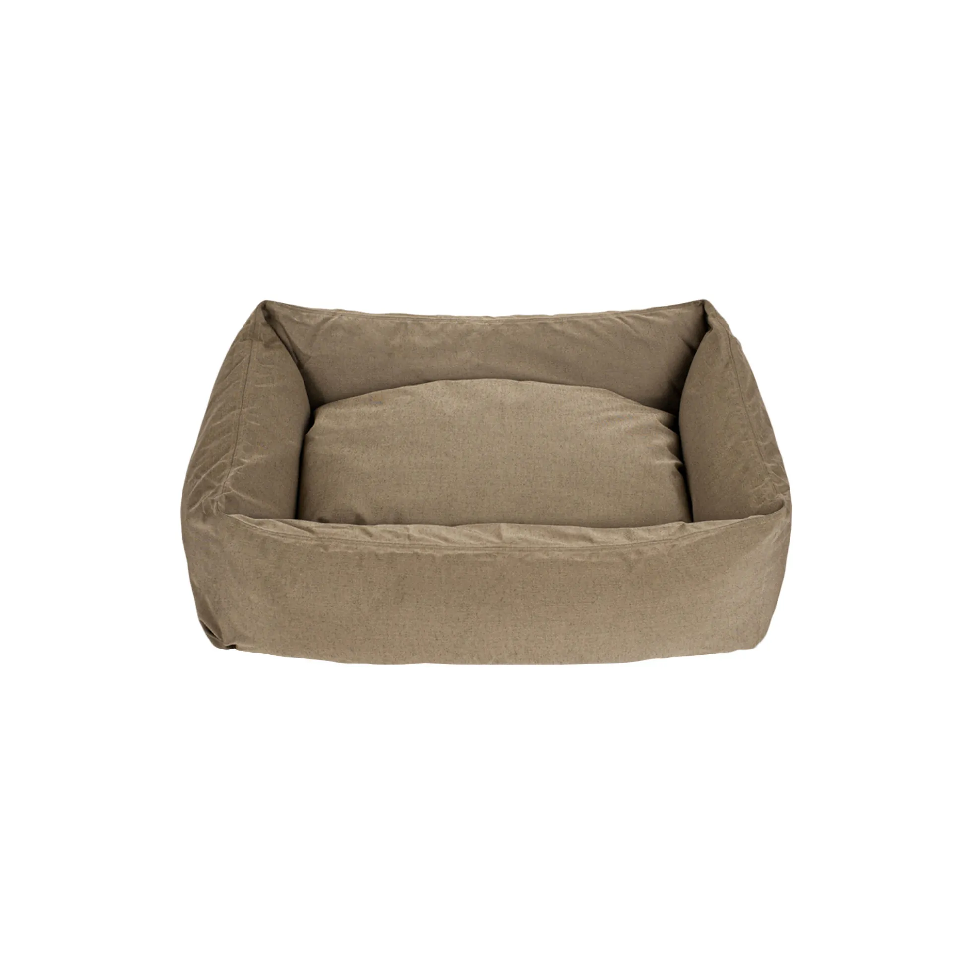 Hundeseng, khaki
