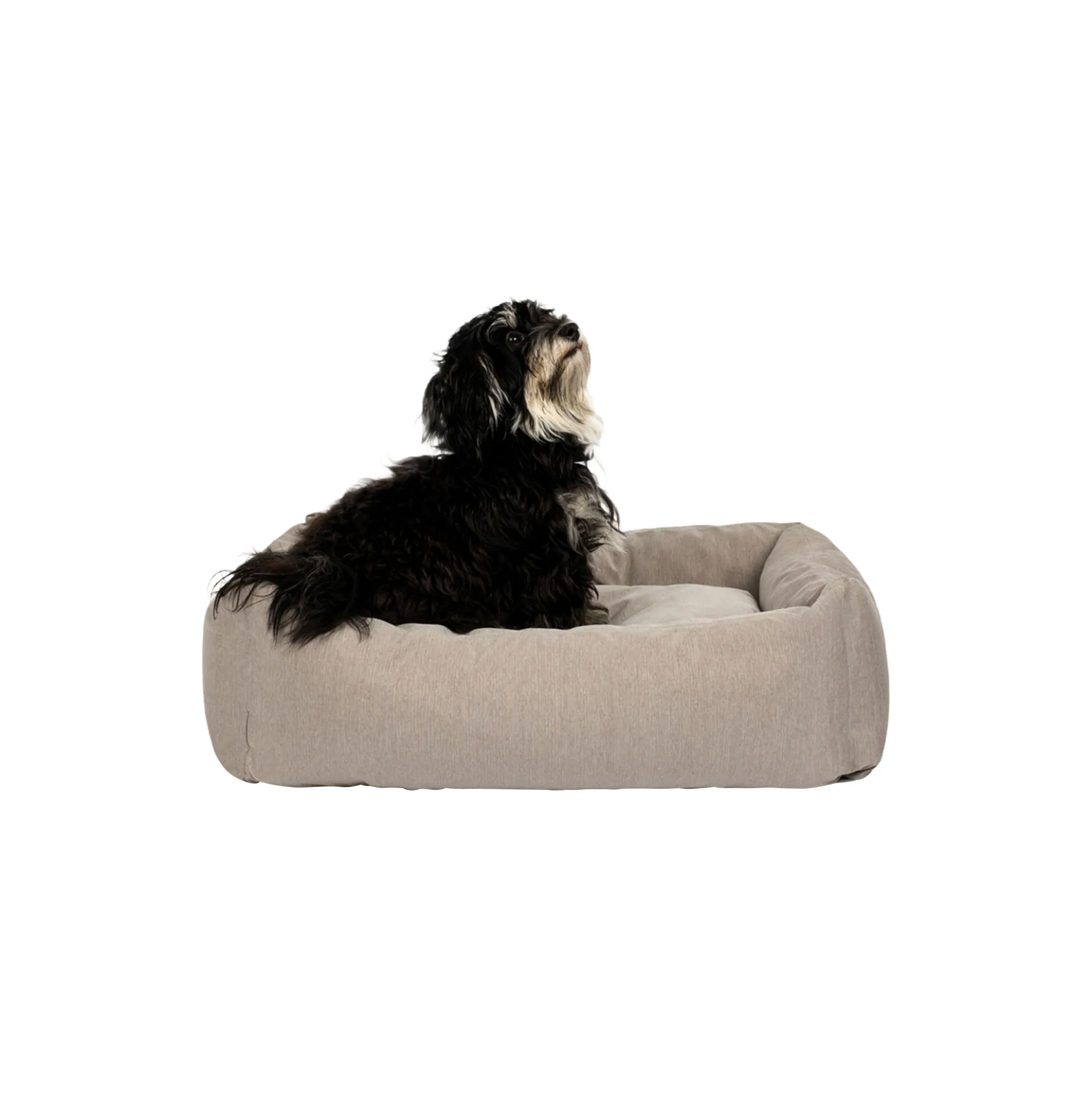 Hundeseng, soft grey
