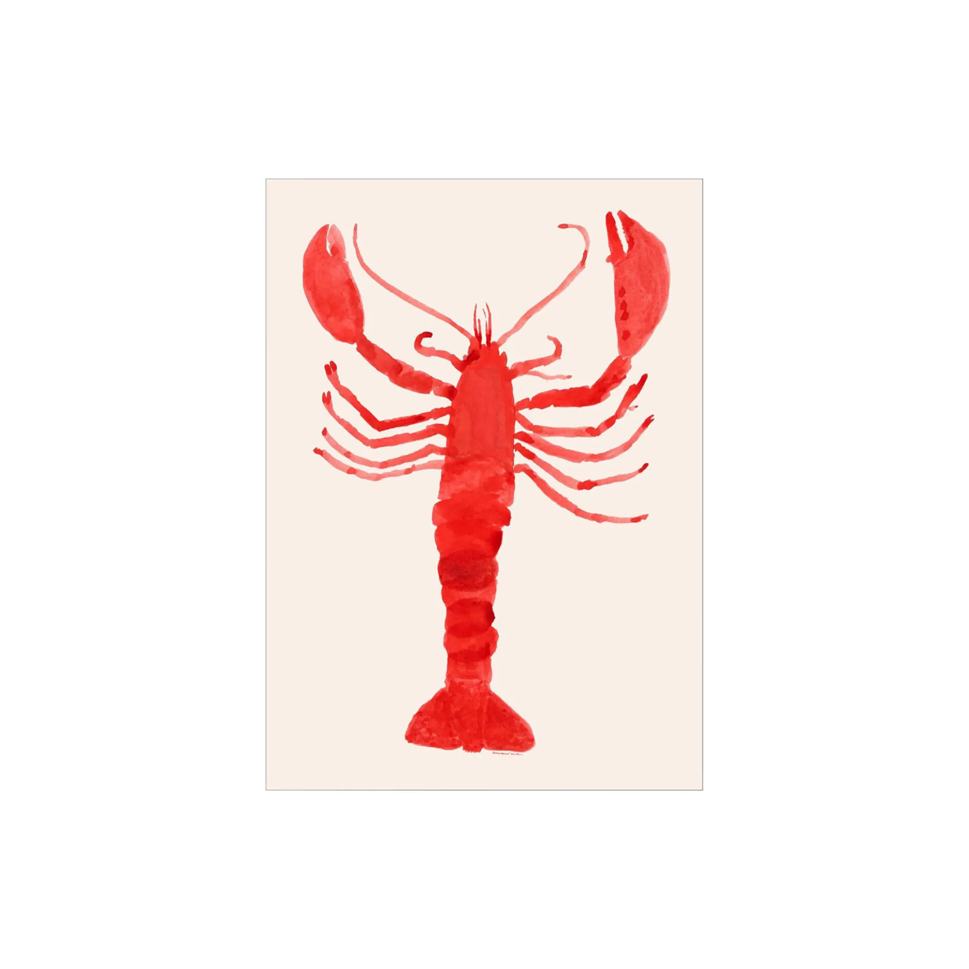Langosta