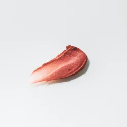 Liptreat Venice