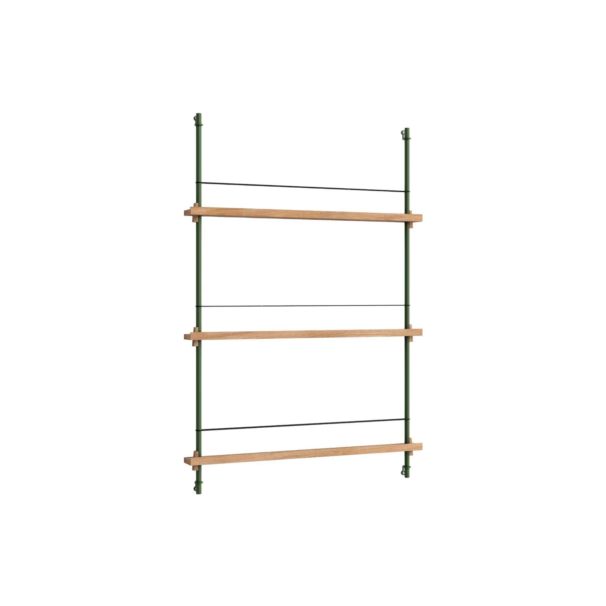 Magazine Shelving Medium, oak/pine green