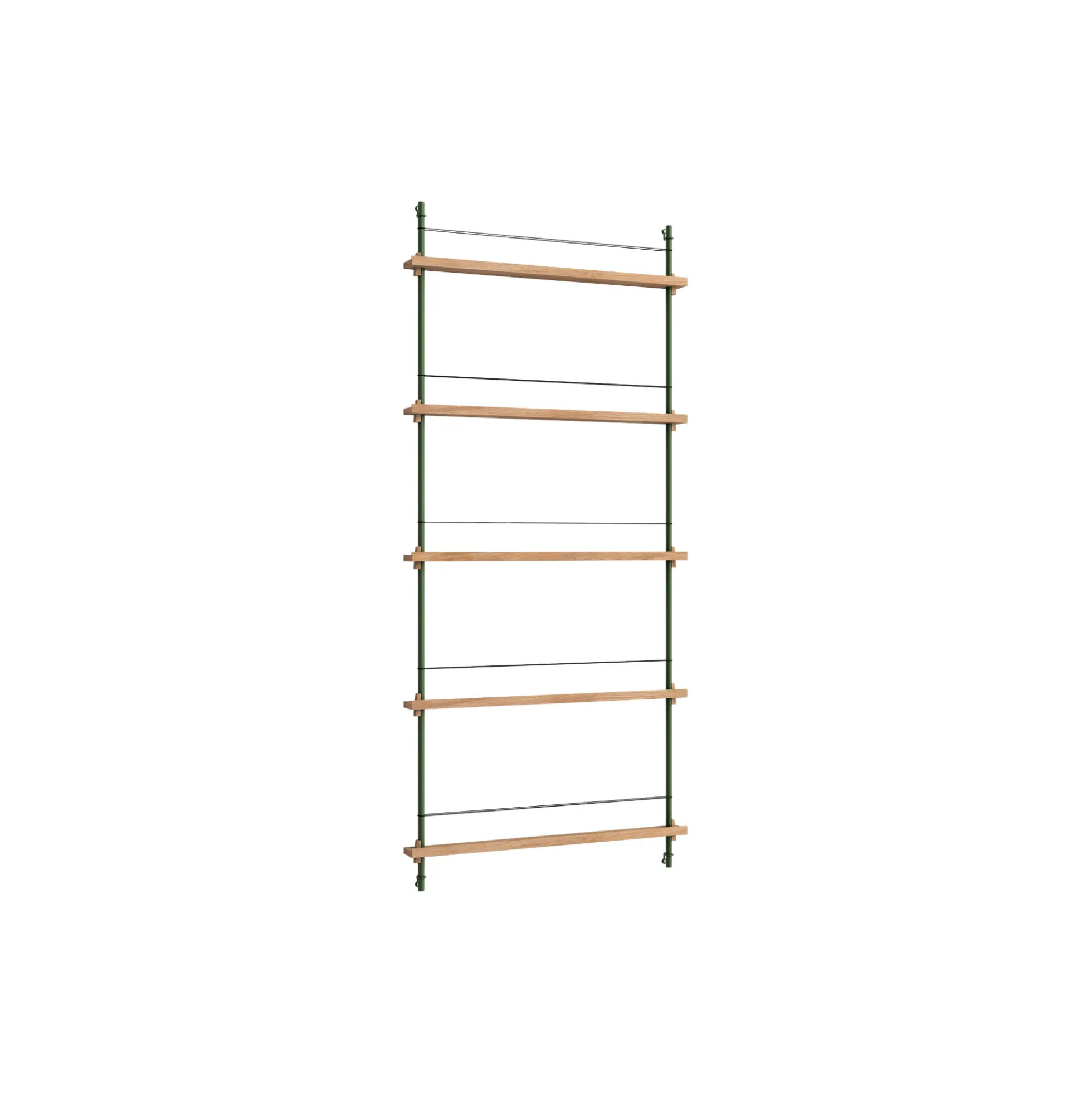 Magazine Shelving Tall, oak/pine green