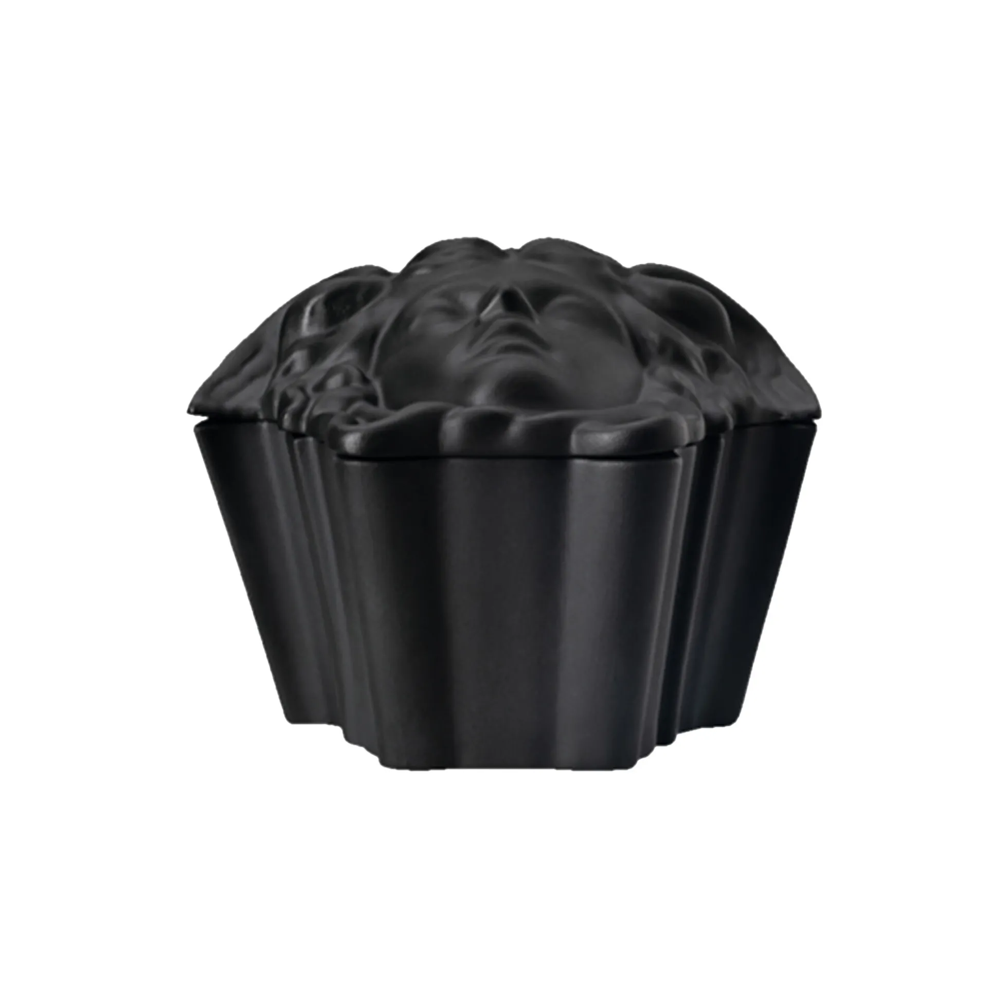 Medusa Box