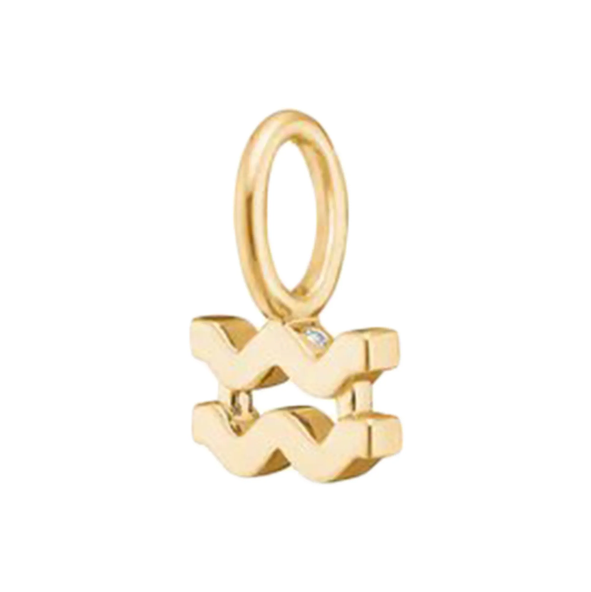 My Zodiac vedhæng, Aquarius