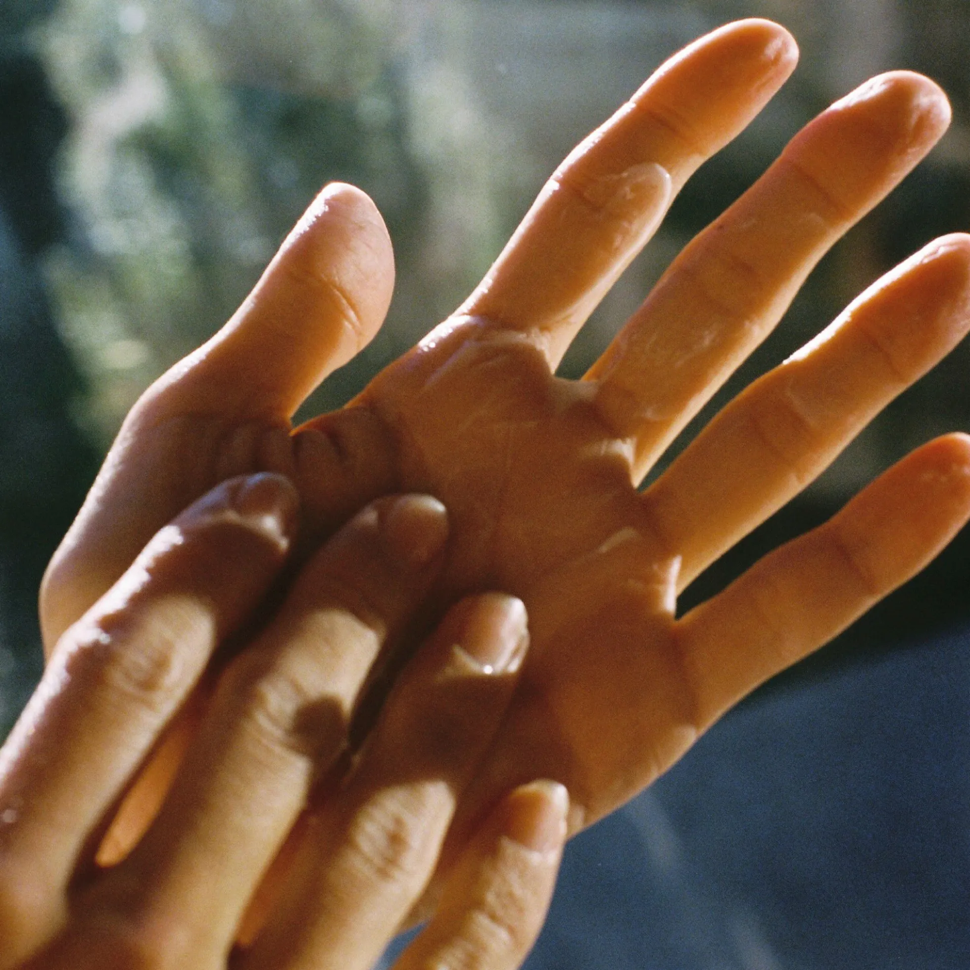No. 244 Hand Cream, elder
