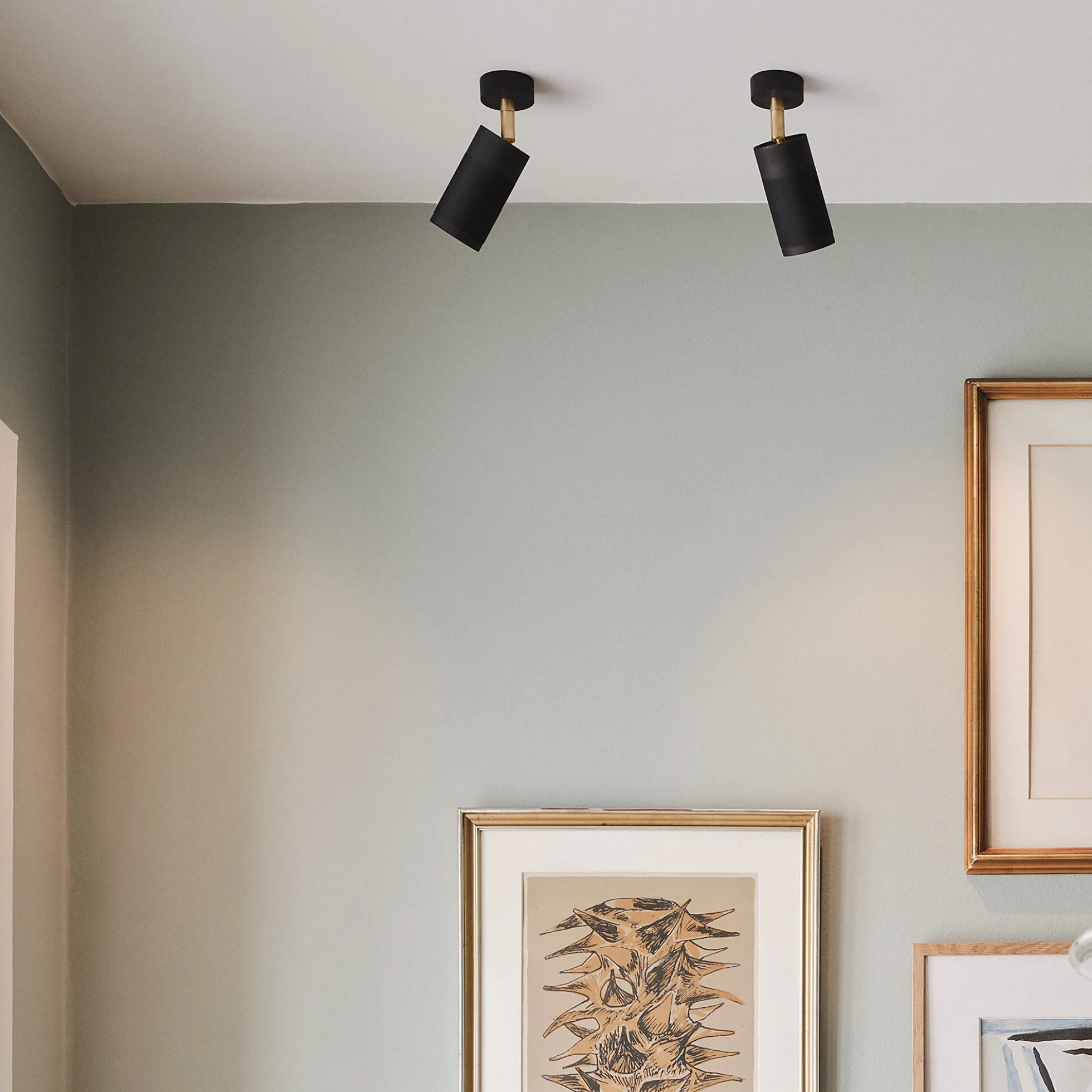 Patrone Canopy Ceiling Light, black/brass
