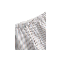 Plano Pants, blue iris stripe