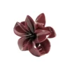 Plumeria Berry Big, burgundy