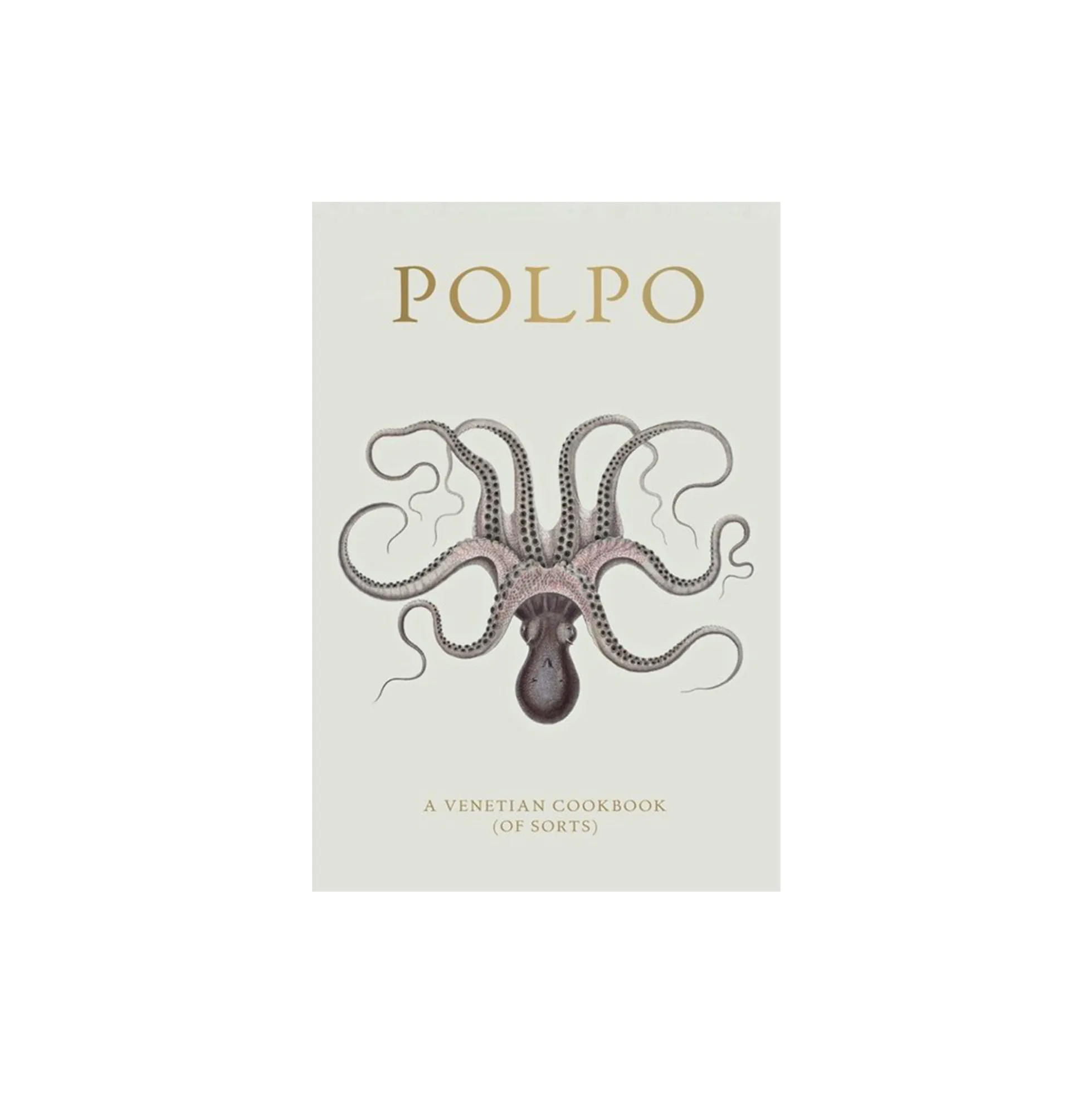 Polpo