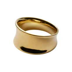Reflection Ring, forgyldt