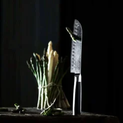 Santoku kokke kniv