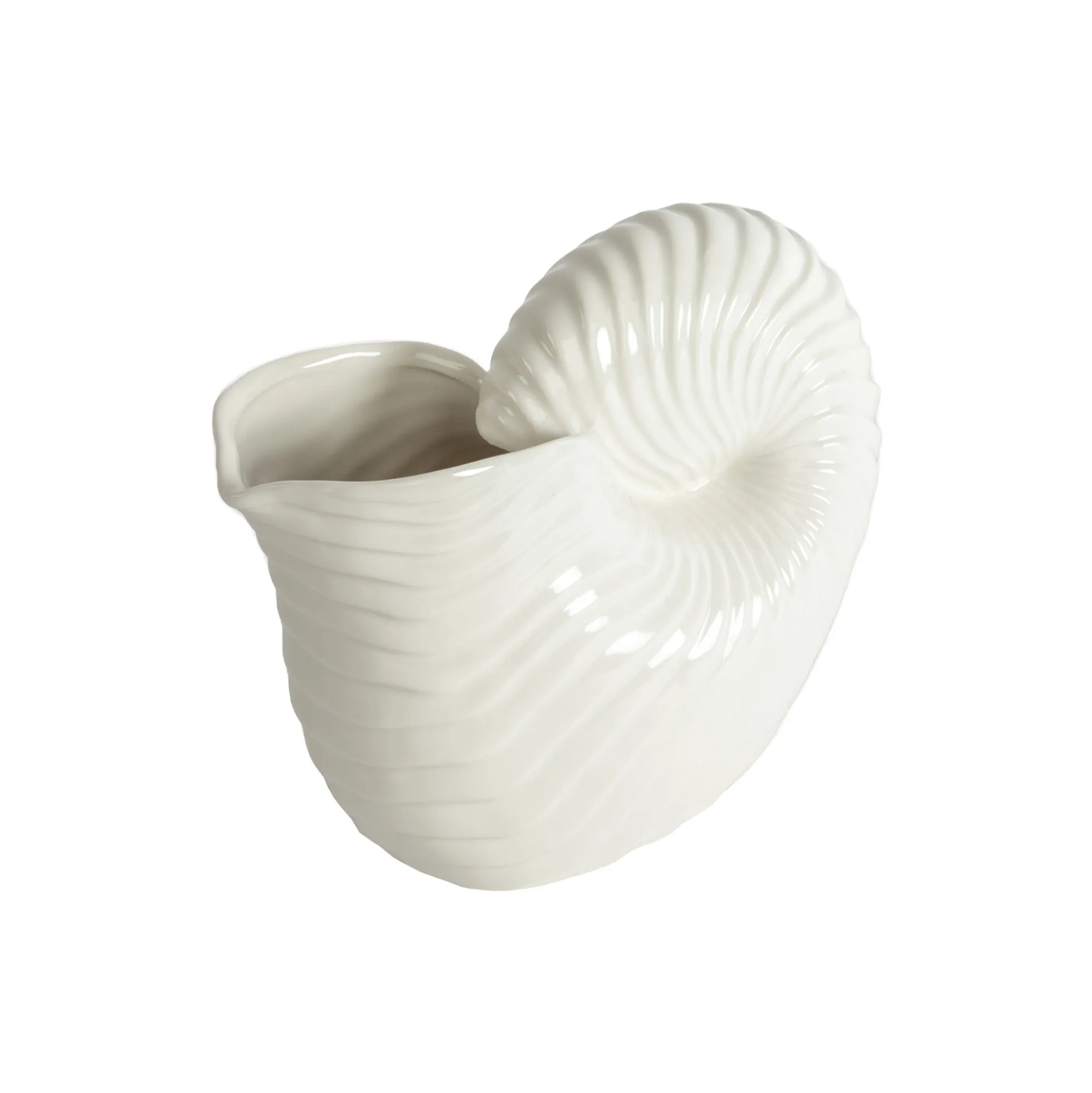 Shelley Jug