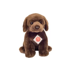 Siddende labrador
