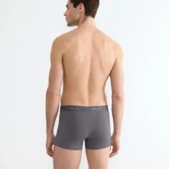 SLG Base Trunk C2P, shiver