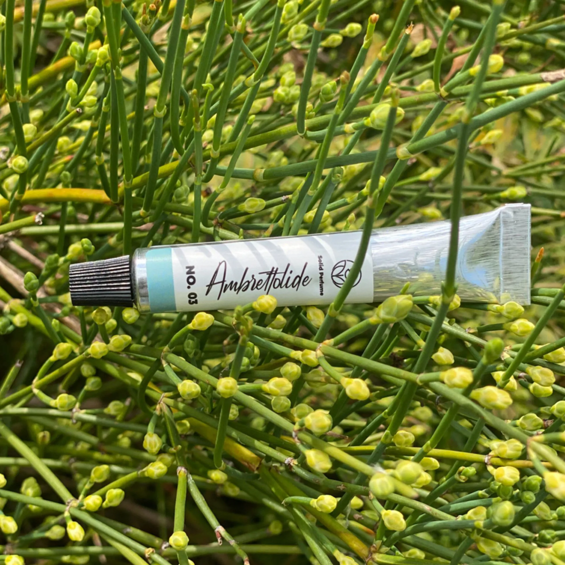 Solid parfume - Ambrettoloide No. 03