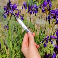 Solid parfume - Orris root No. 29