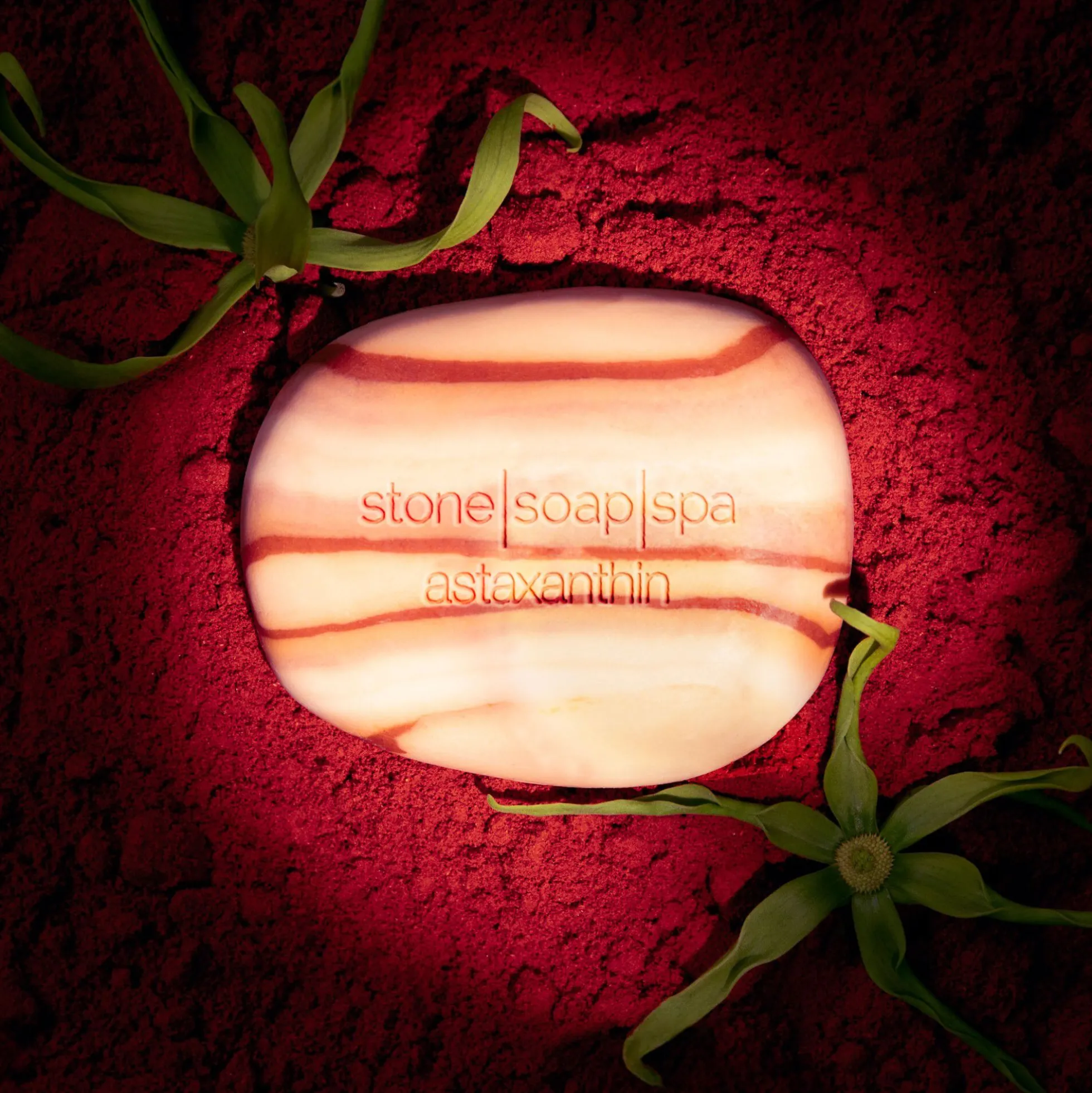 Stone Soap, astaxanthin