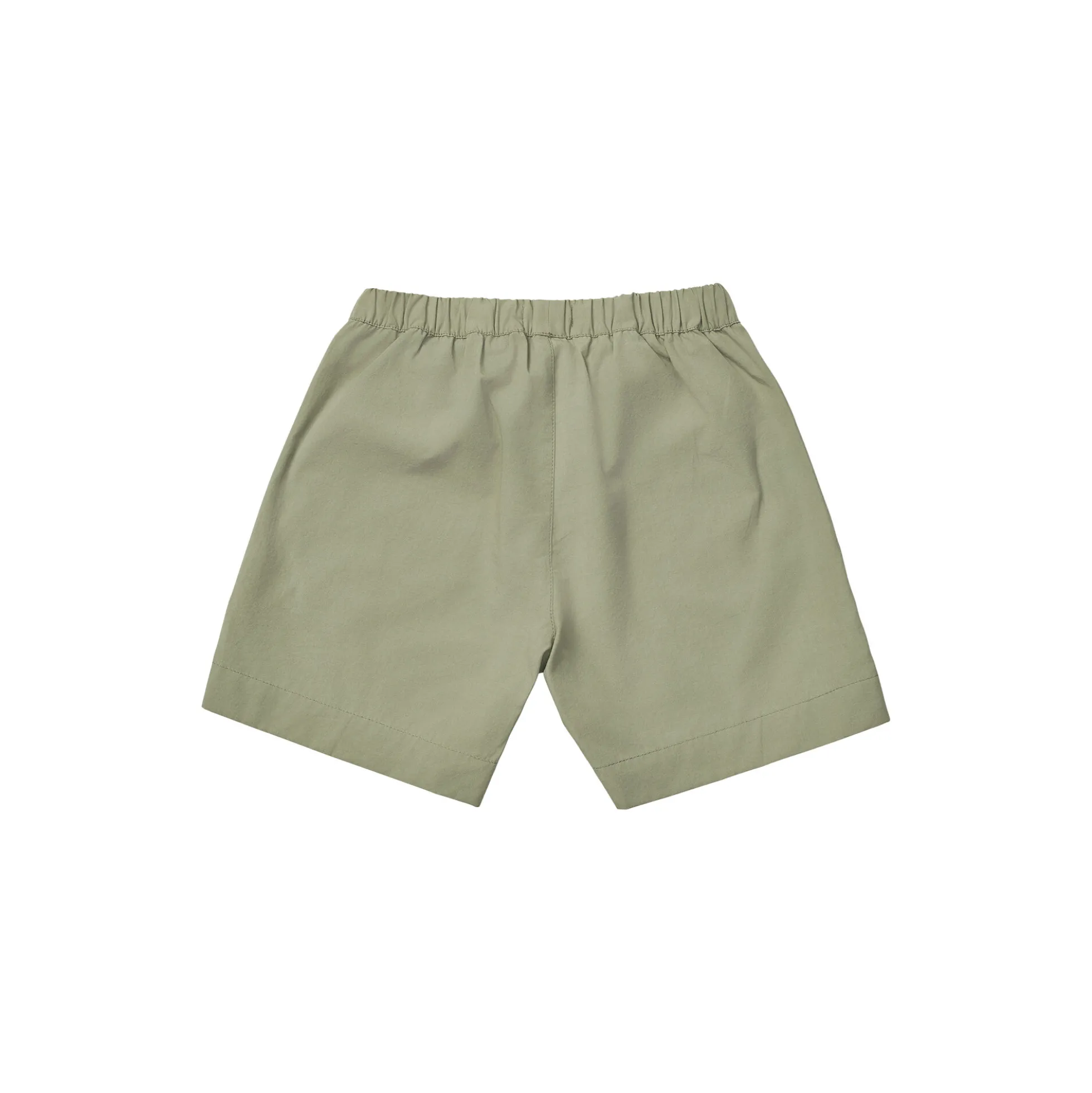 Wilder Shorts, turtle